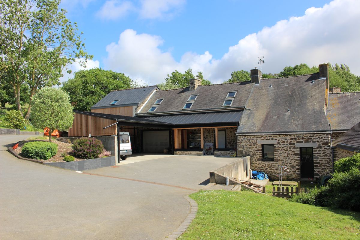 Projet d'architecte de constructions en bois Coupe sur toiture végétalisée