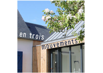 Extension bois contemporaine