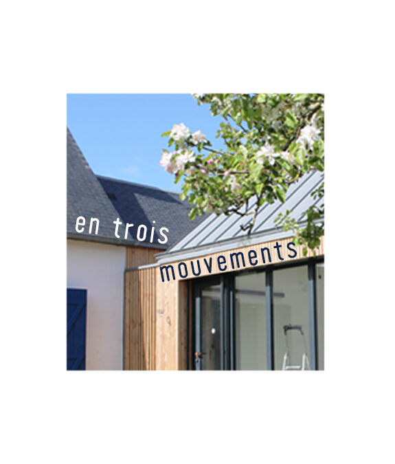 Extension bois contemporaine